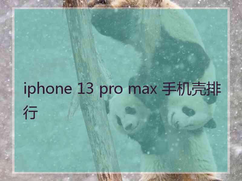 iphone 13 pro max 手机壳排行