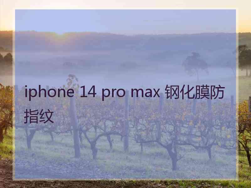 iphone 14 pro max 钢化膜防指纹