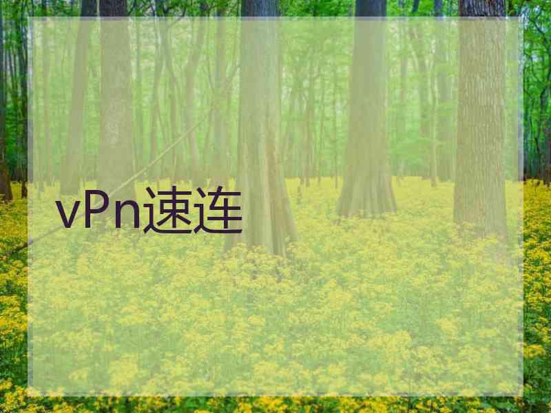 vPn速连