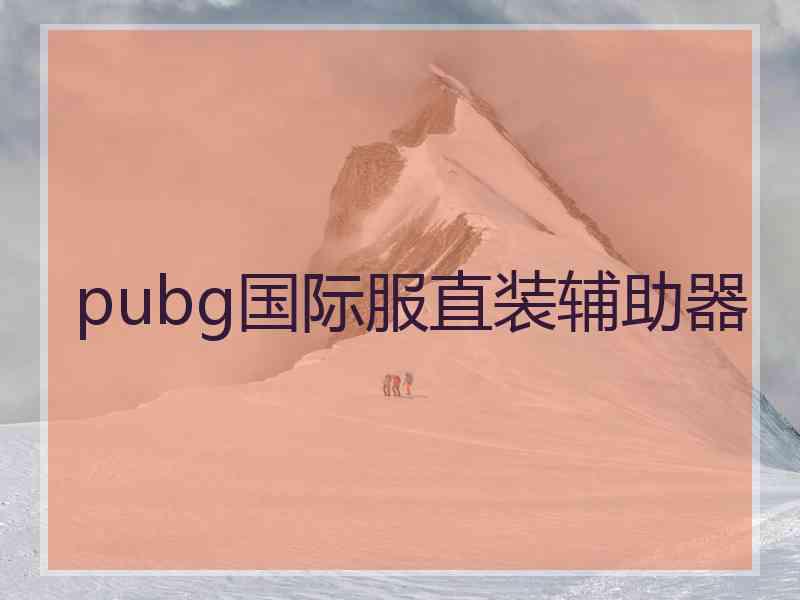 pubg国际服直装辅助器