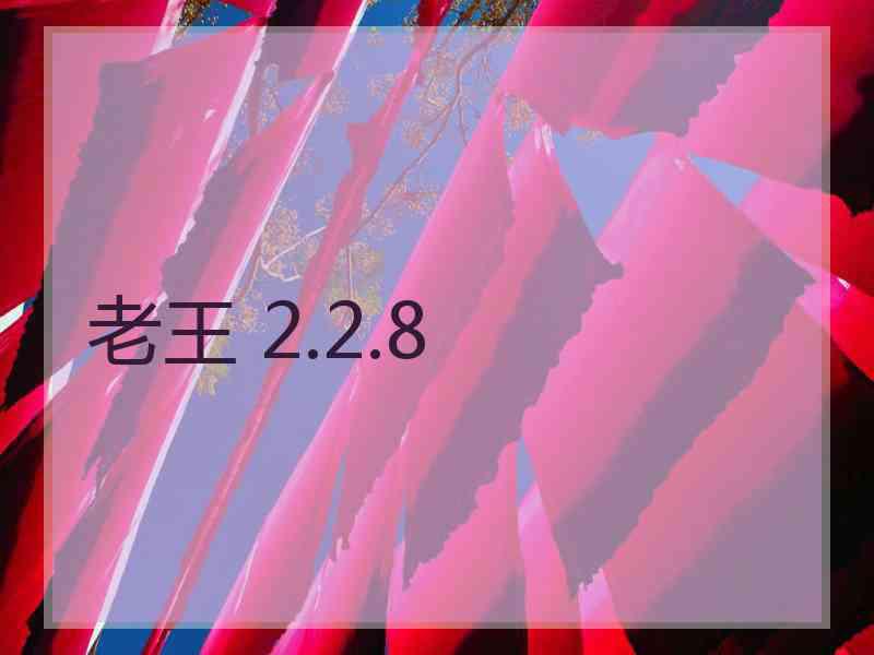 老王 2.2.8