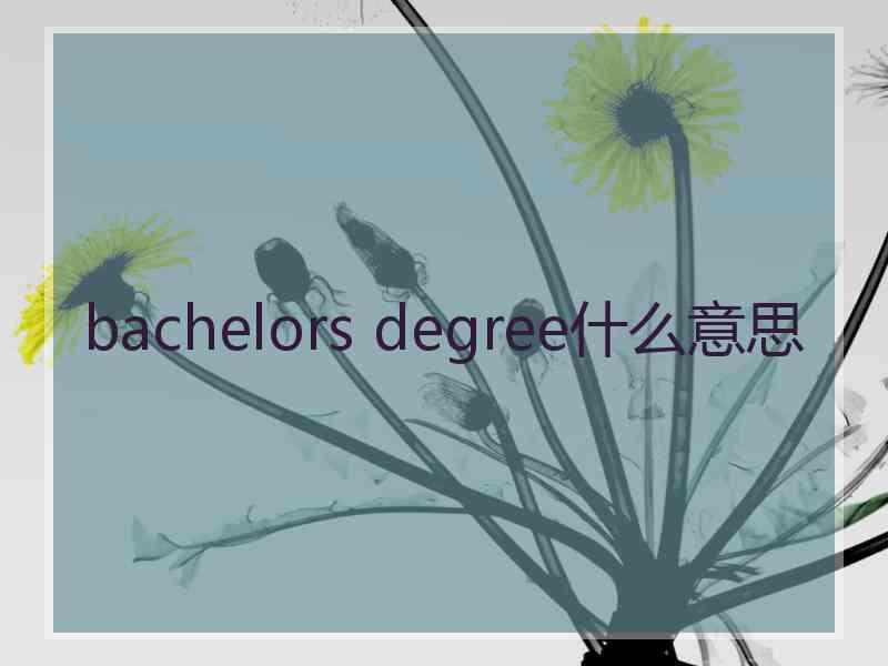 bachelors degree什么意思