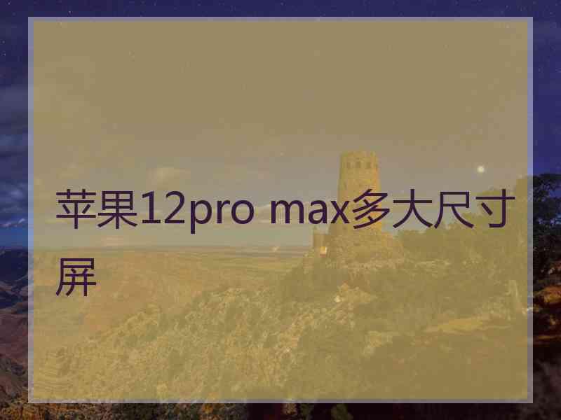 苹果12pro max多大尺寸屏