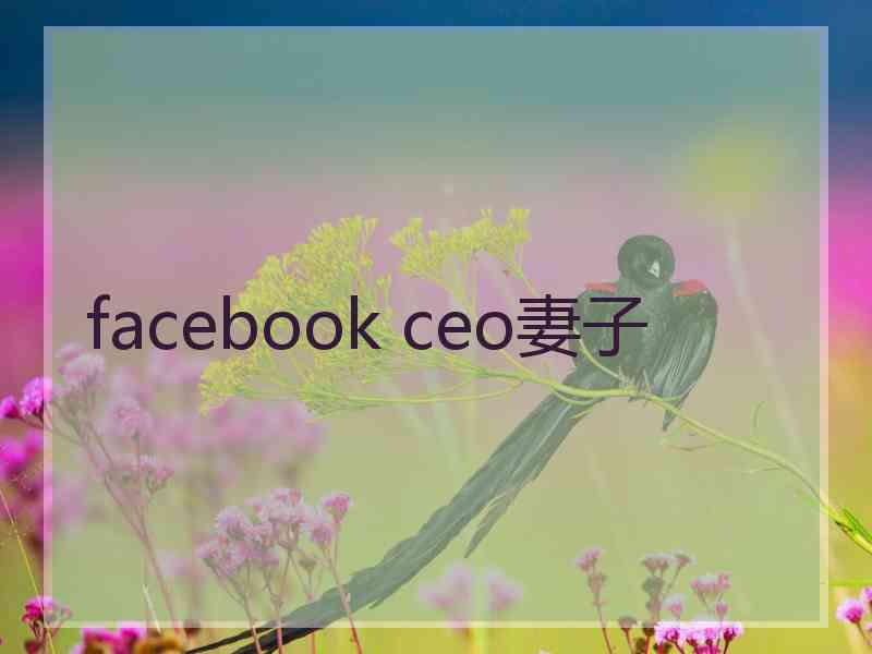 facebook ceo妻子