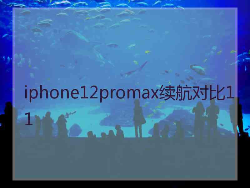 iphone12promax续航对比11