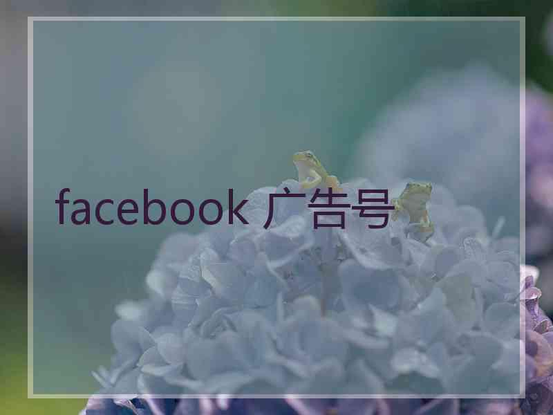 facebook 广告号