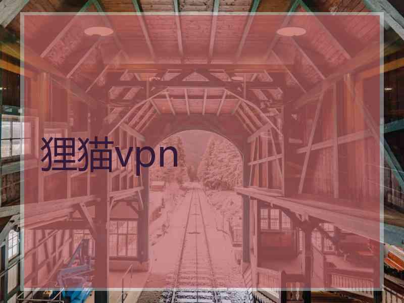 狸猫vpn