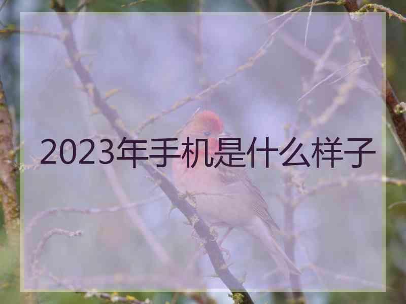 2023年手机是什么样子