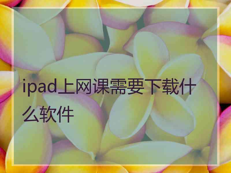 ipad上网课需要下载什么软件