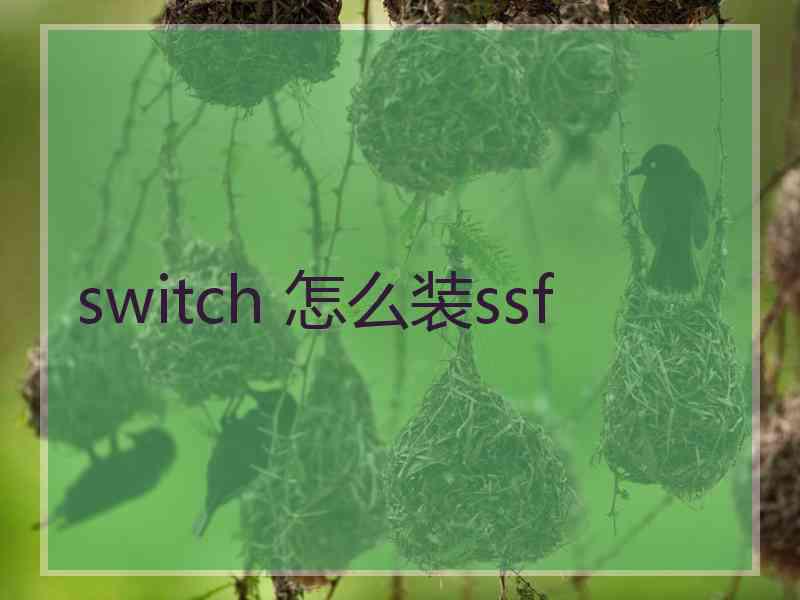 switch 怎么装ssf