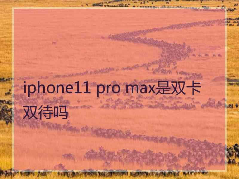 iphone11 pro max是双卡双待吗