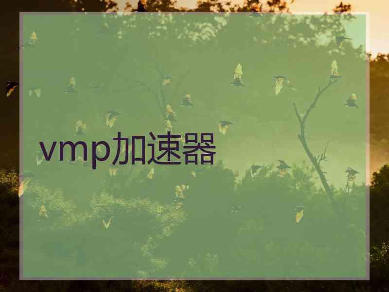 vmp加速器