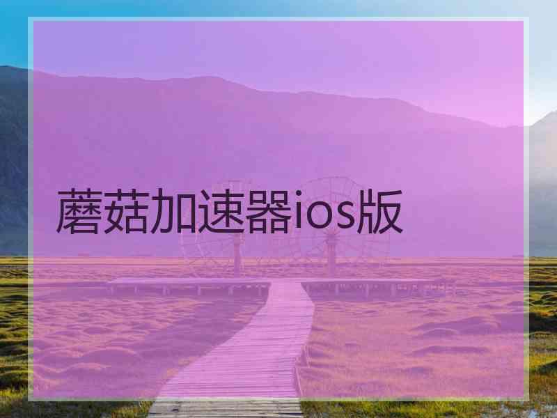 蘑菇加速器ios版