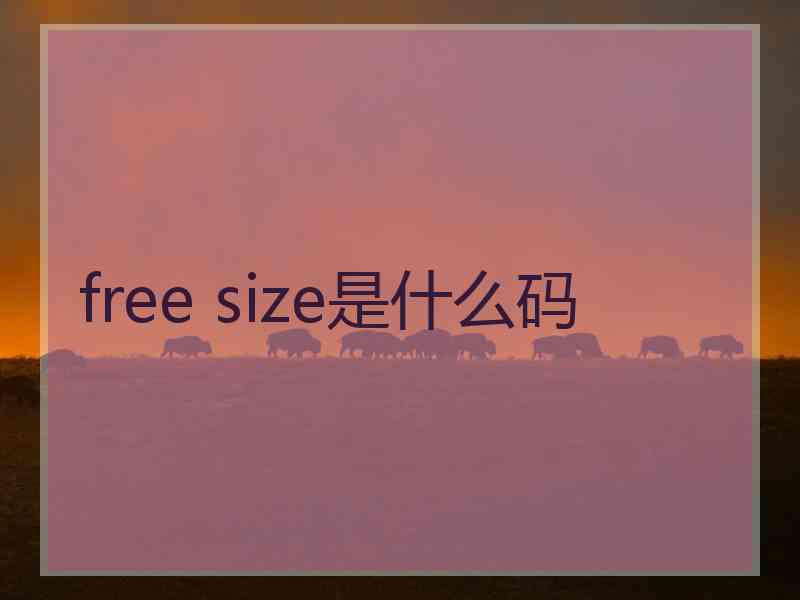 free size是什么码