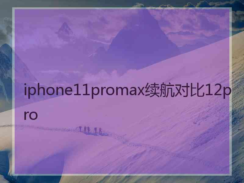 iphone11promax续航对比12pro