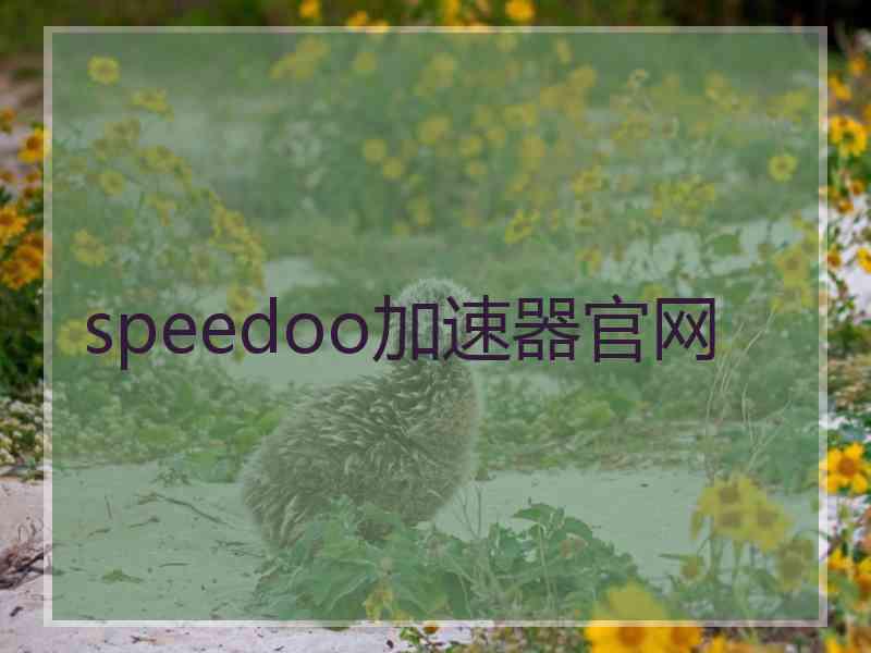 speedoo加速器官网