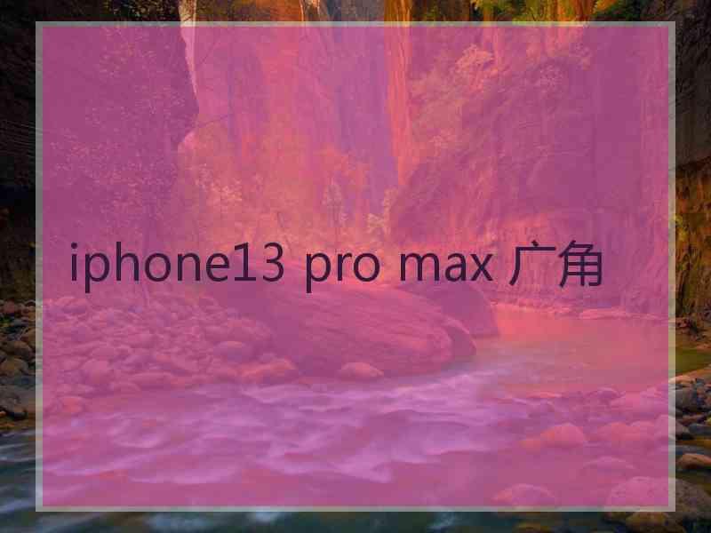 iphone13 pro max 广角