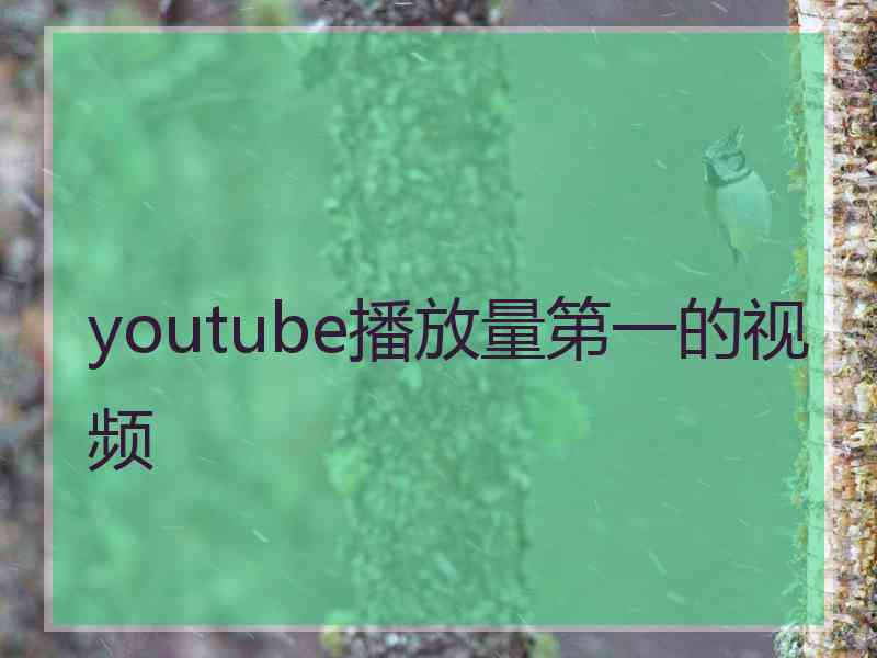 youtube播放量第一的视频