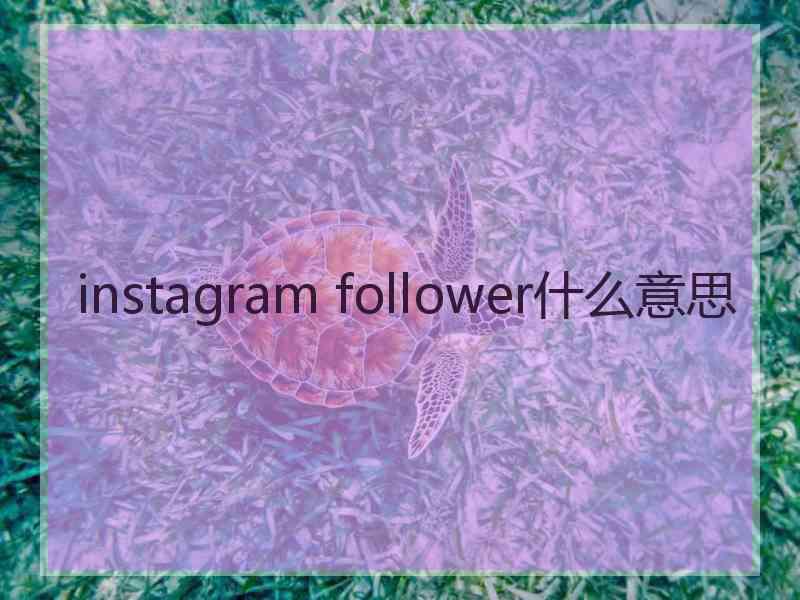 instagram follower什么意思