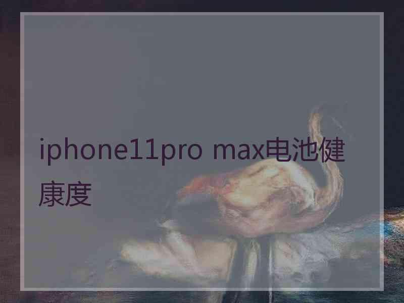 iphone11pro max电池健康度