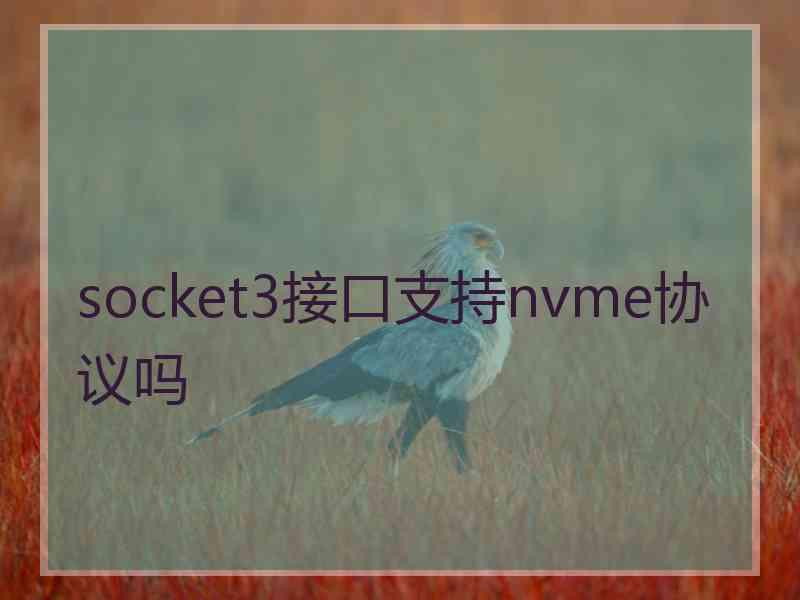 socket3接口支持nvme协议吗