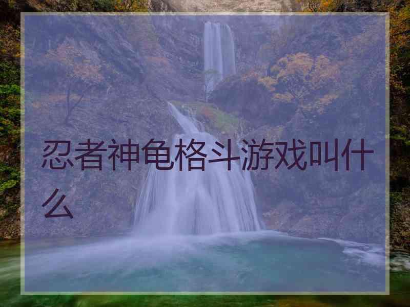 忍者神龟格斗游戏叫什么