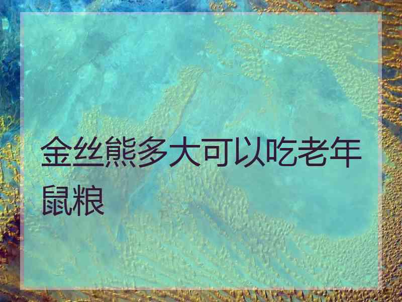 金丝熊多大可以吃老年鼠粮