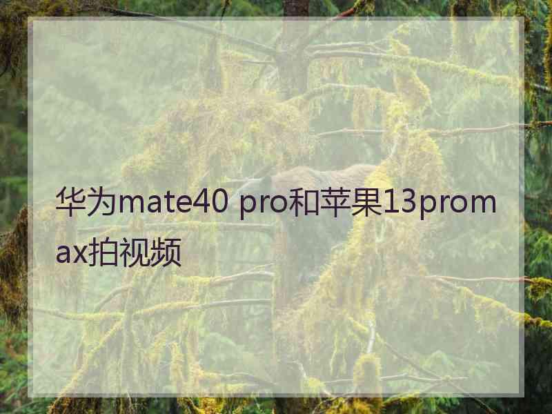 华为mate40 pro和苹果13promax拍视频