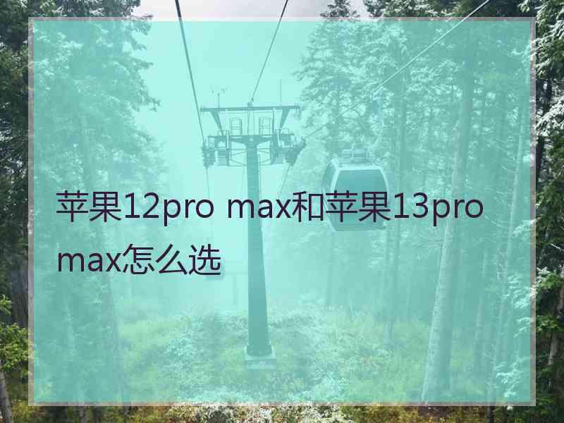 苹果12pro max和苹果13promax怎么选