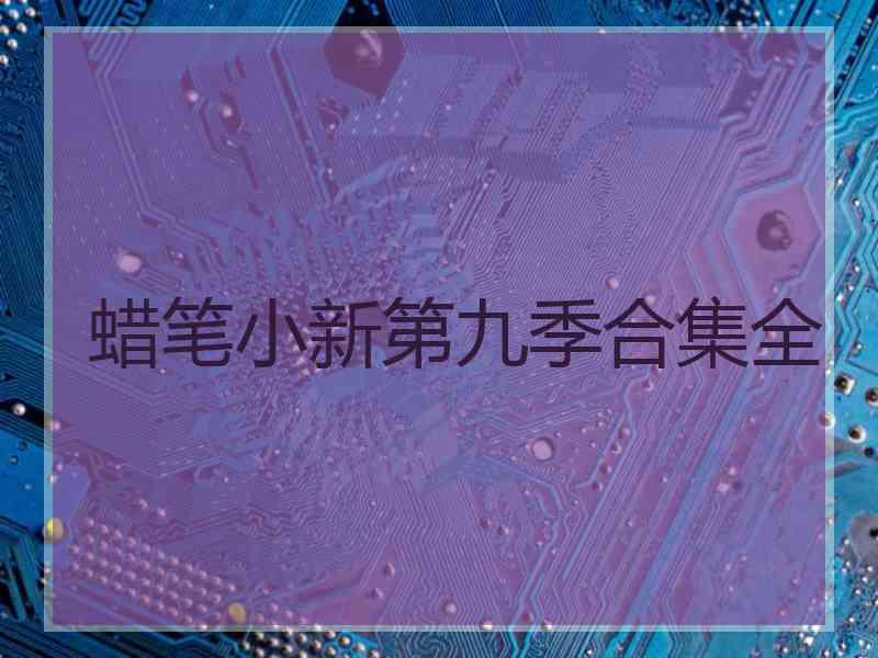 蜡笔小新第九季合集全