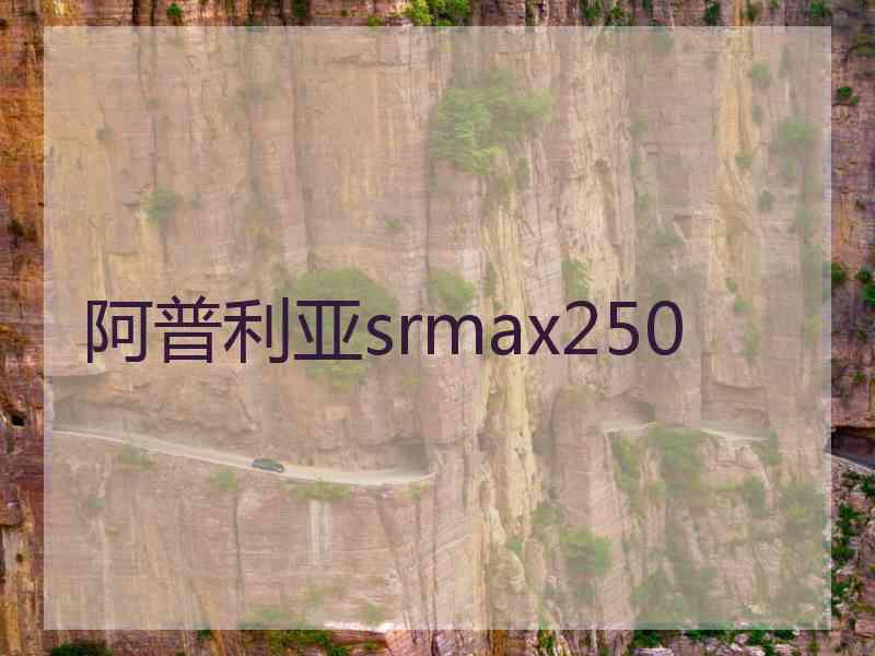 阿普利亚srmax250