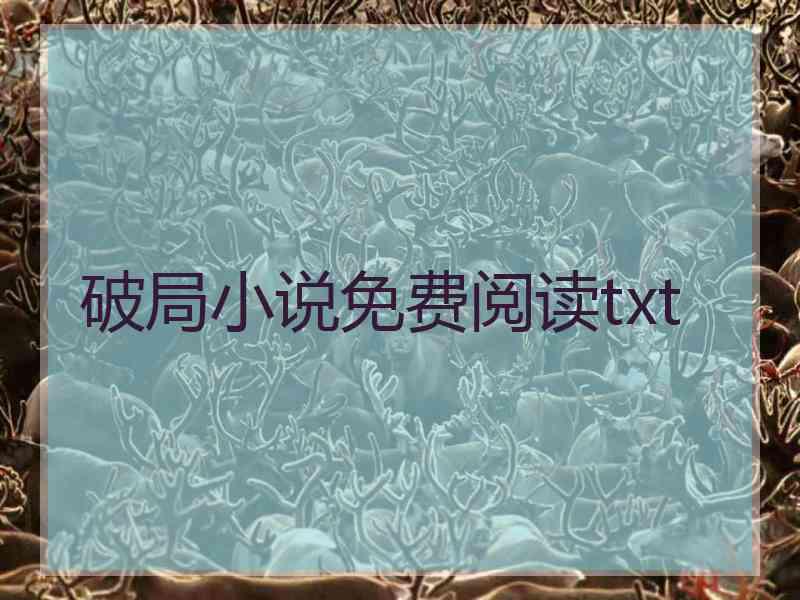 破局小说免费阅读txt