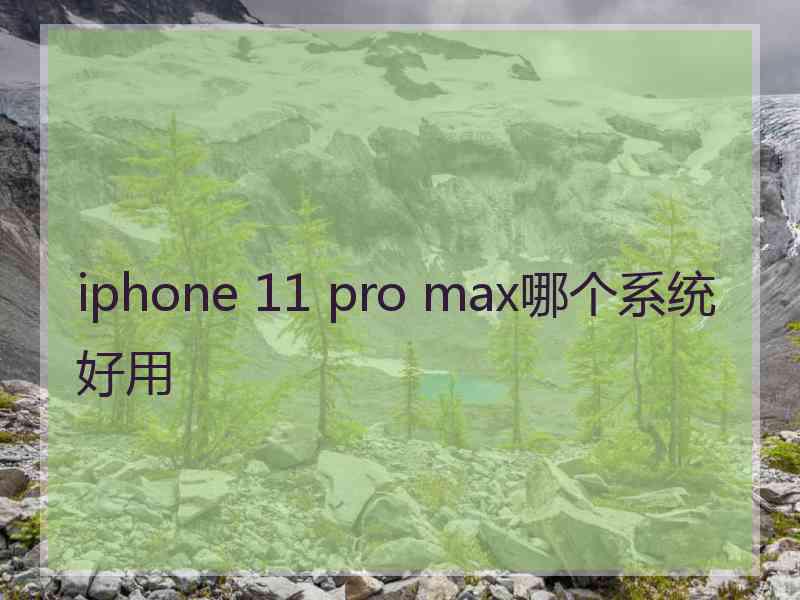 iphone 11 pro max哪个系统好用