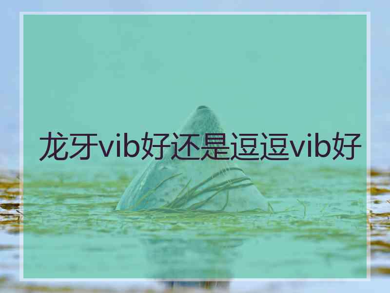 龙牙vib好还是逗逗vib好