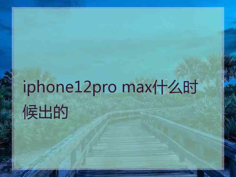 iphone12pro max什么时候出的