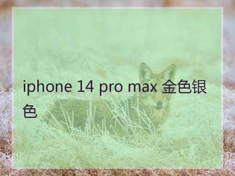 iphone 14 pro max 金色银色