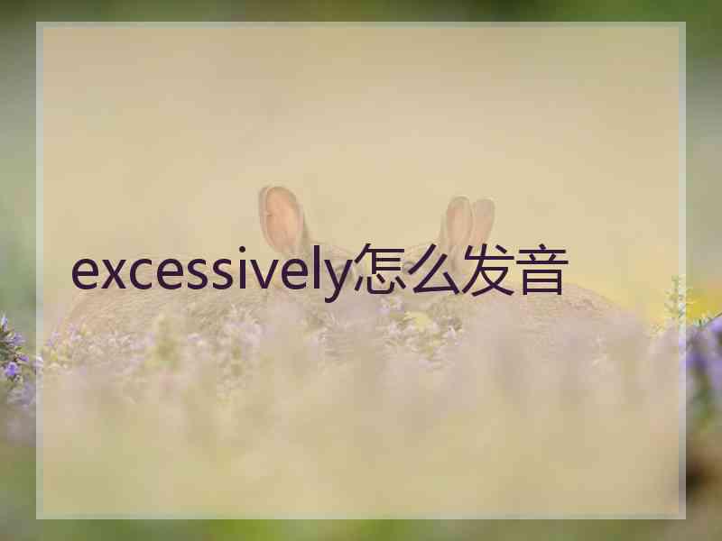 excessively怎么发音