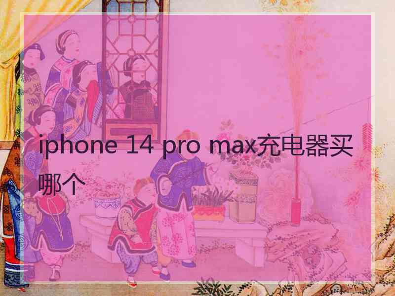 iphone 14 pro max充电器买哪个