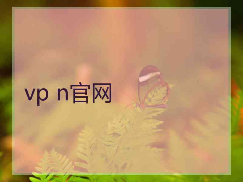 vp n官网