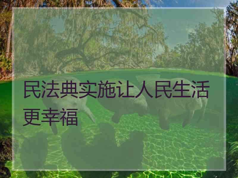 民法典实施让人民生活更幸福