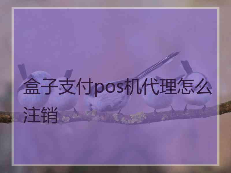 盒子支付pos机代理怎么注销