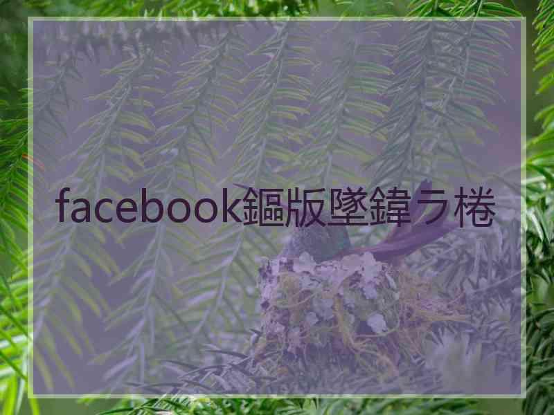 facebook鏂版墜鍏ラ棬