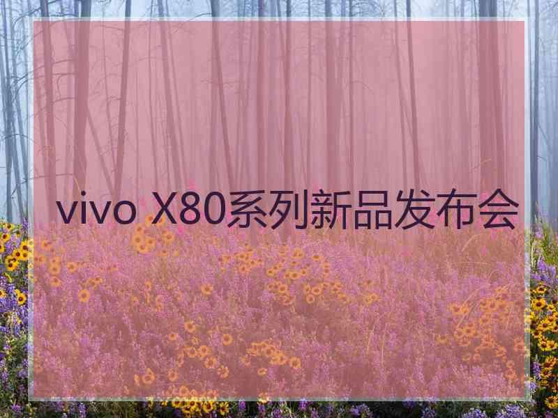 vivo X80系列新品发布会