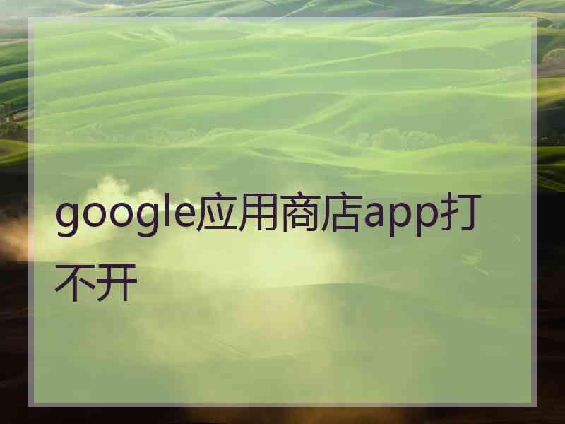 google应用商店app打不开