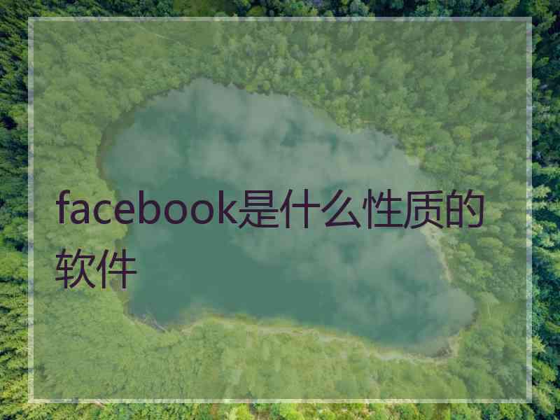 facebook是什么性质的软件