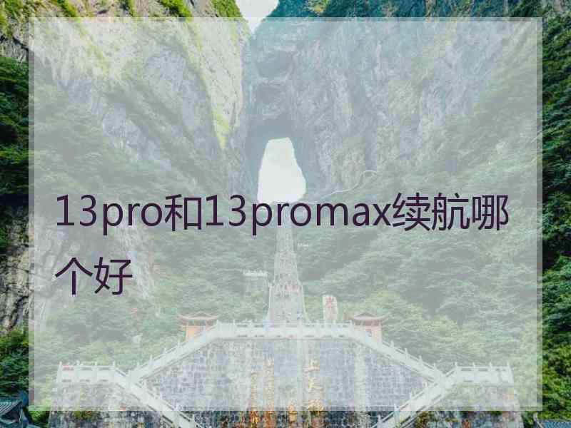 13pro和13promax续航哪个好