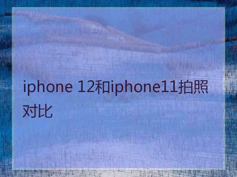 iphone 12和iphone11拍照对比