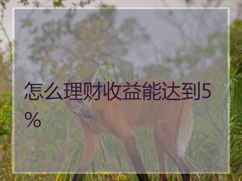 怎么理财收益能达到5%