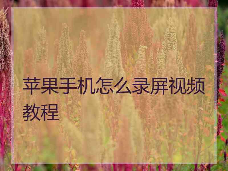 苹果手机怎么录屏视频教程