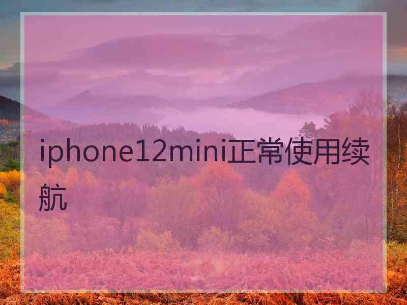 iphone12mini正常使用续航